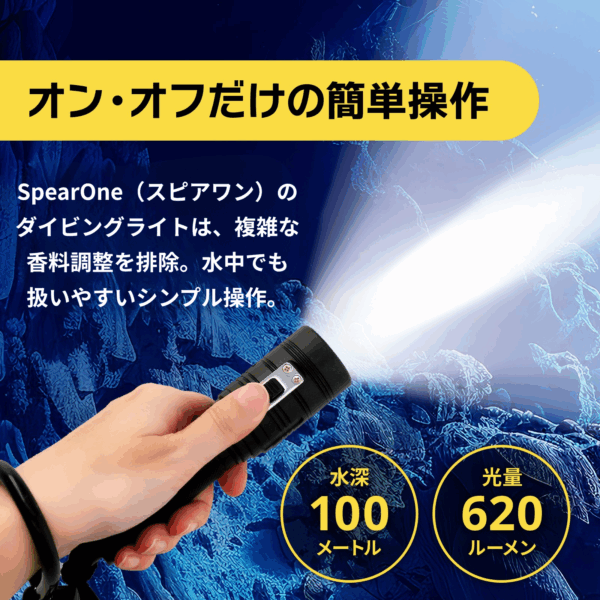 ダイビングライト - 画像 (3)